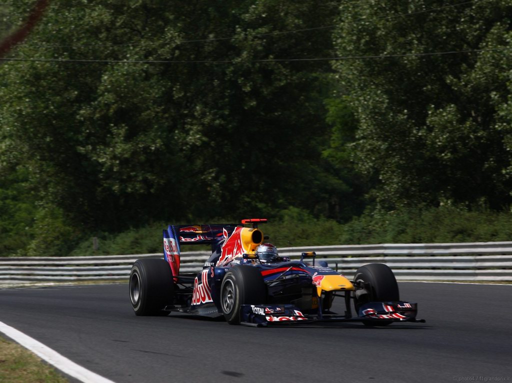 SEBASTIAN VETTEL WORLD CHAMPION 2010 1024x768