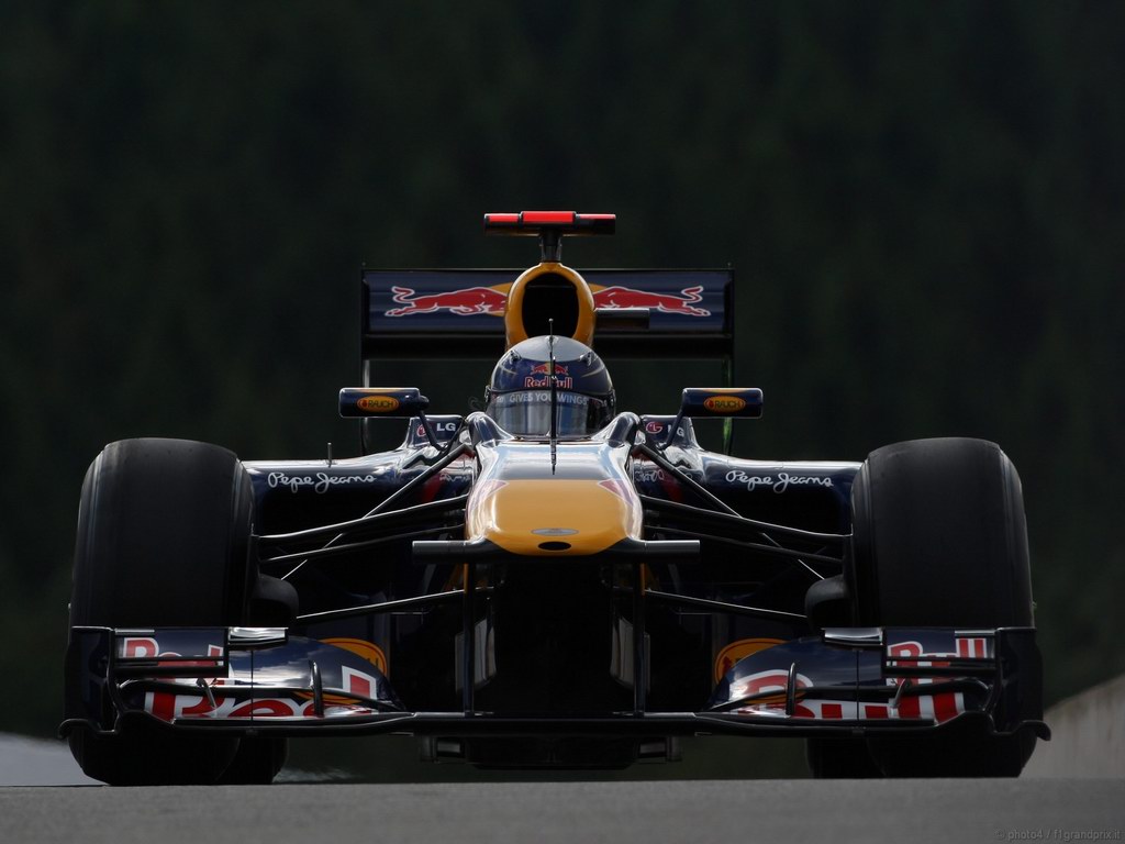 SEBASTIAN VETTEL WORLD CHAMPION 2010 1024x768