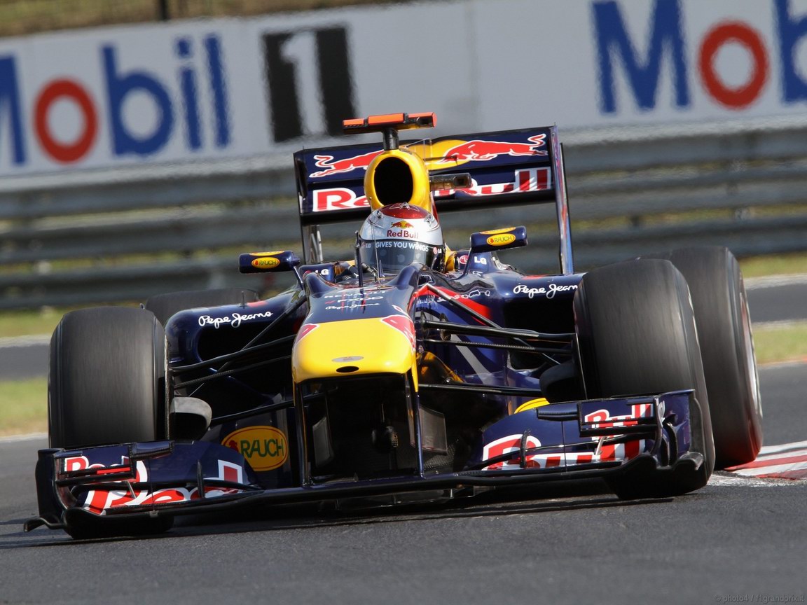 SEBASTIAN VETTEL WORLD CHAMPION 2010 1152x864