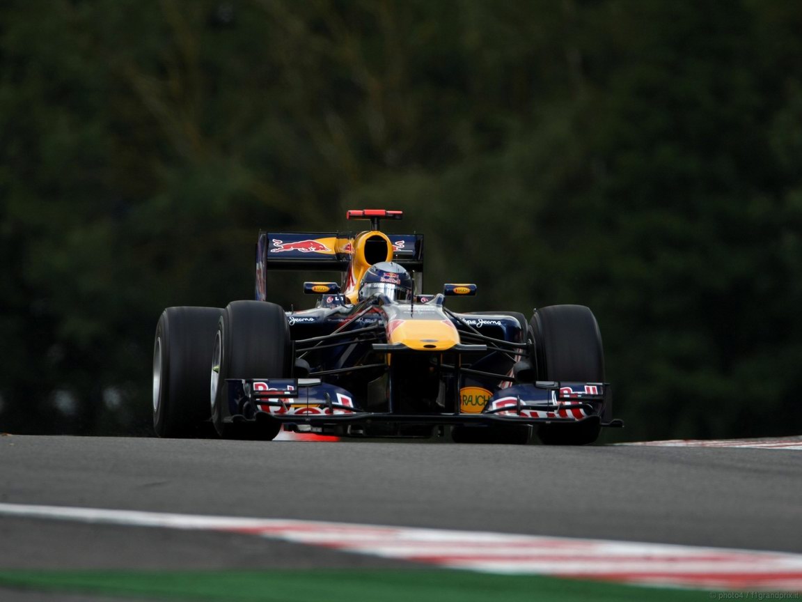SEBASTIAN VETTEL WORLD CHAMPION 2010 1152x864