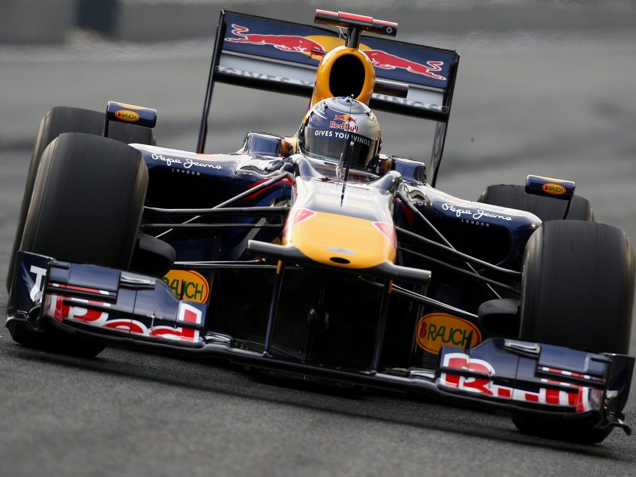 SEBASTIAN VETTEL WORLD CHAMPION 2010 1280x960