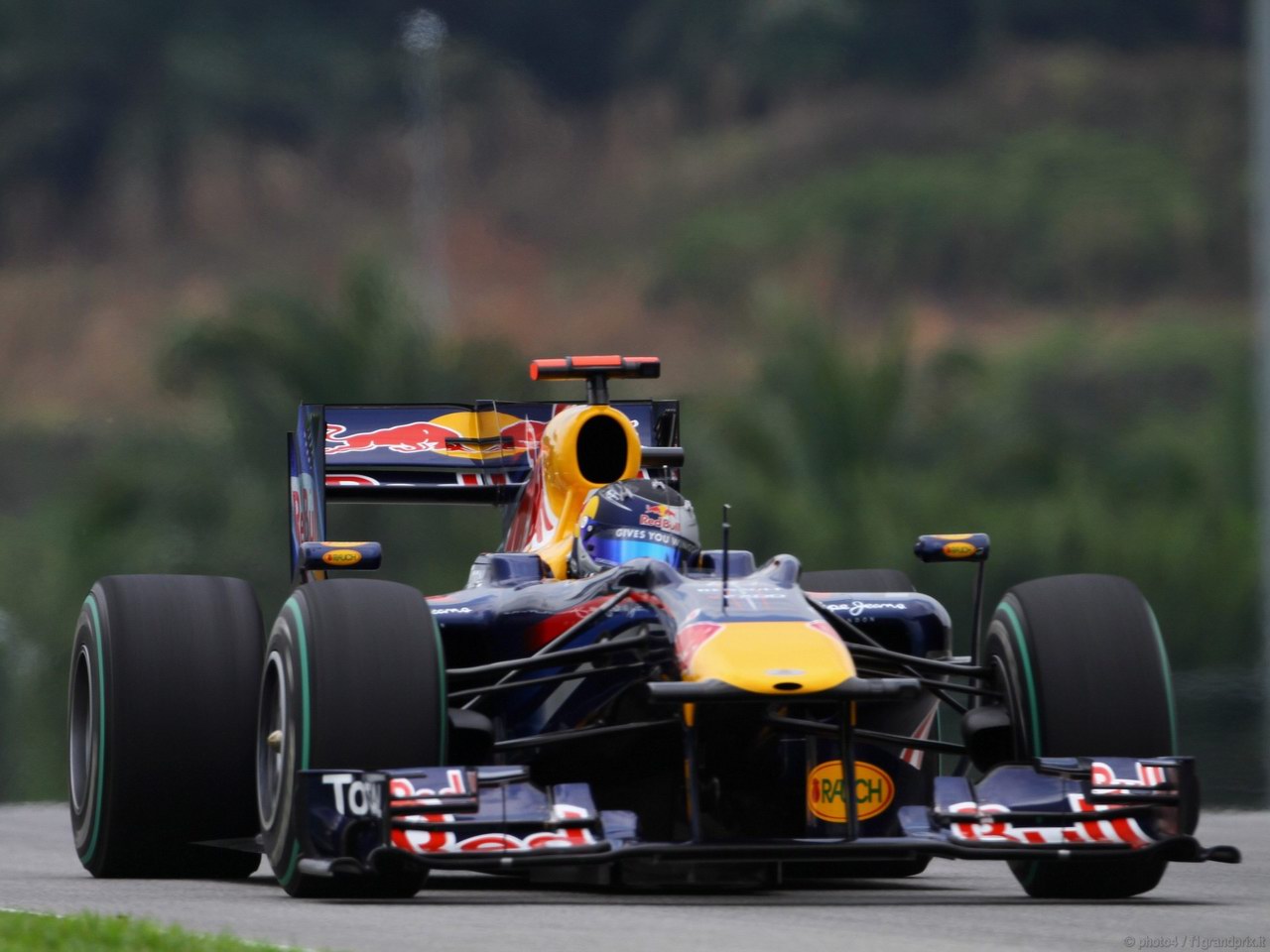 SEBASTIAN VETTEL WORLD CHAMPION 2010 1280x960