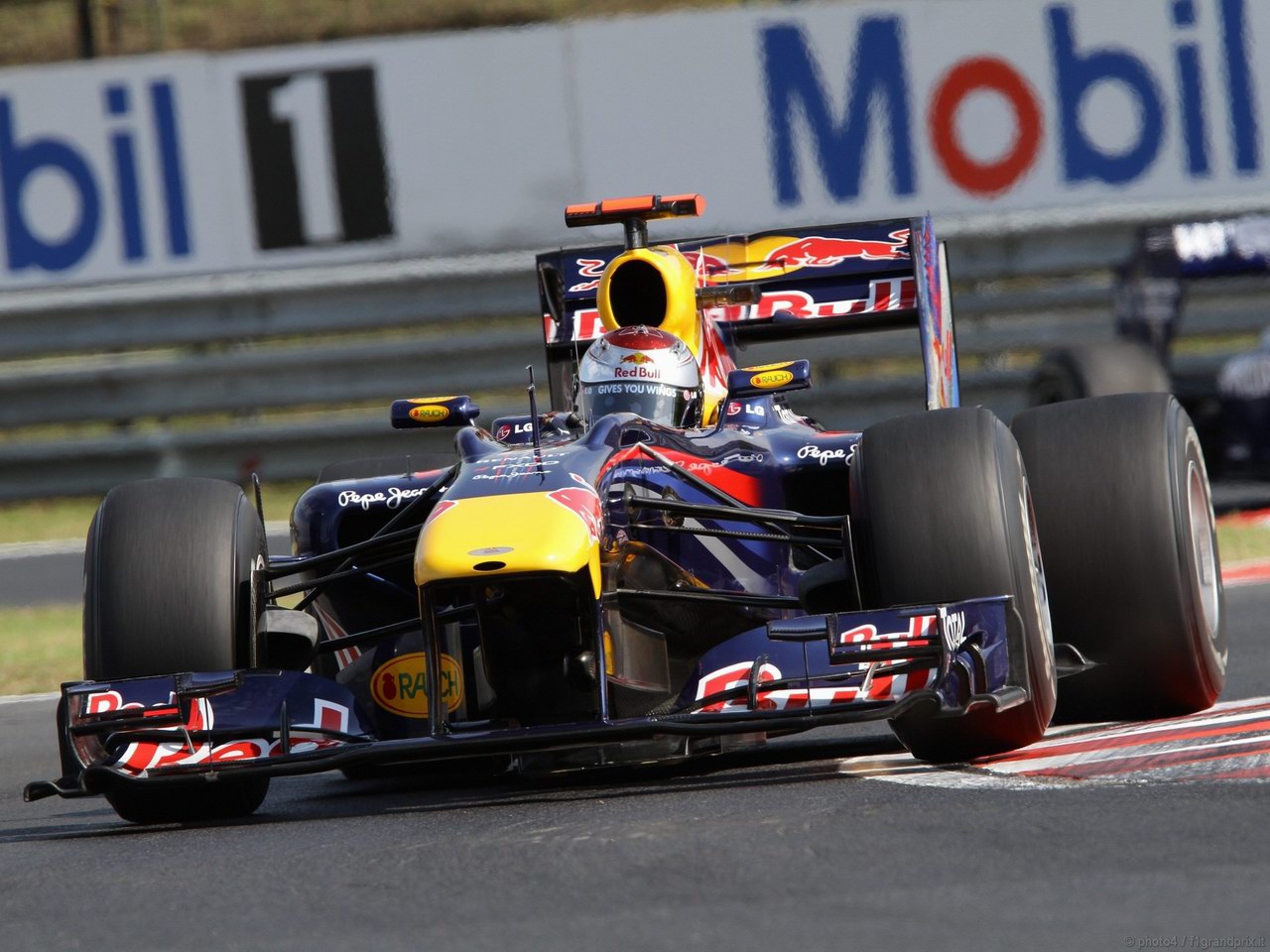 SEBASTIAN VETTEL WORLD CHAMPION 2010 1280x960