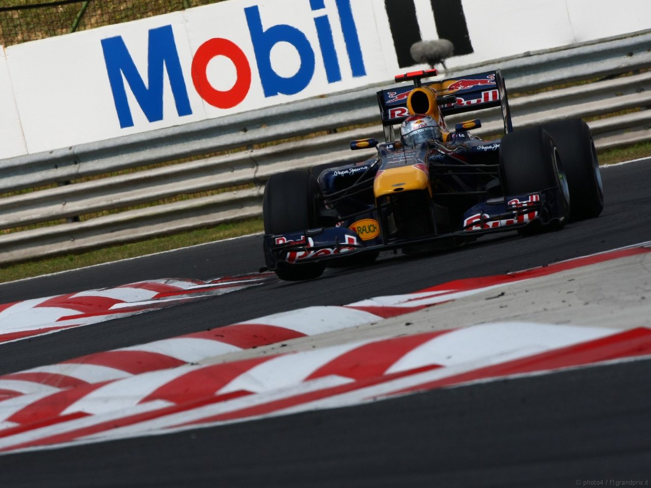 SEBASTIAN VETTEL WORLD CHAMPION 2010 1280x960