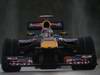 Wallpaper SEBASTIAN VETTEL WORLD CHAMPION 2010 2010 1280x960, Sfondi Desktop F1
