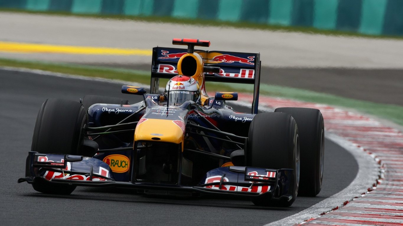 SEBASTIAN VETTEL WORLD CHAMPION 2010 1366x768