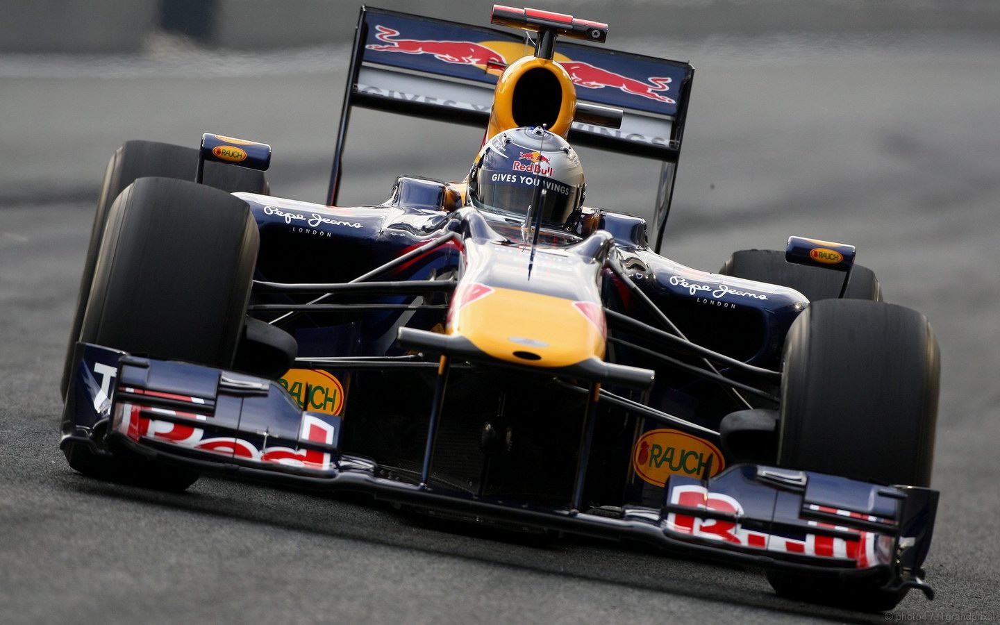 SEBASTIAN VETTEL WORLD CHAMPION 2010 1440x900