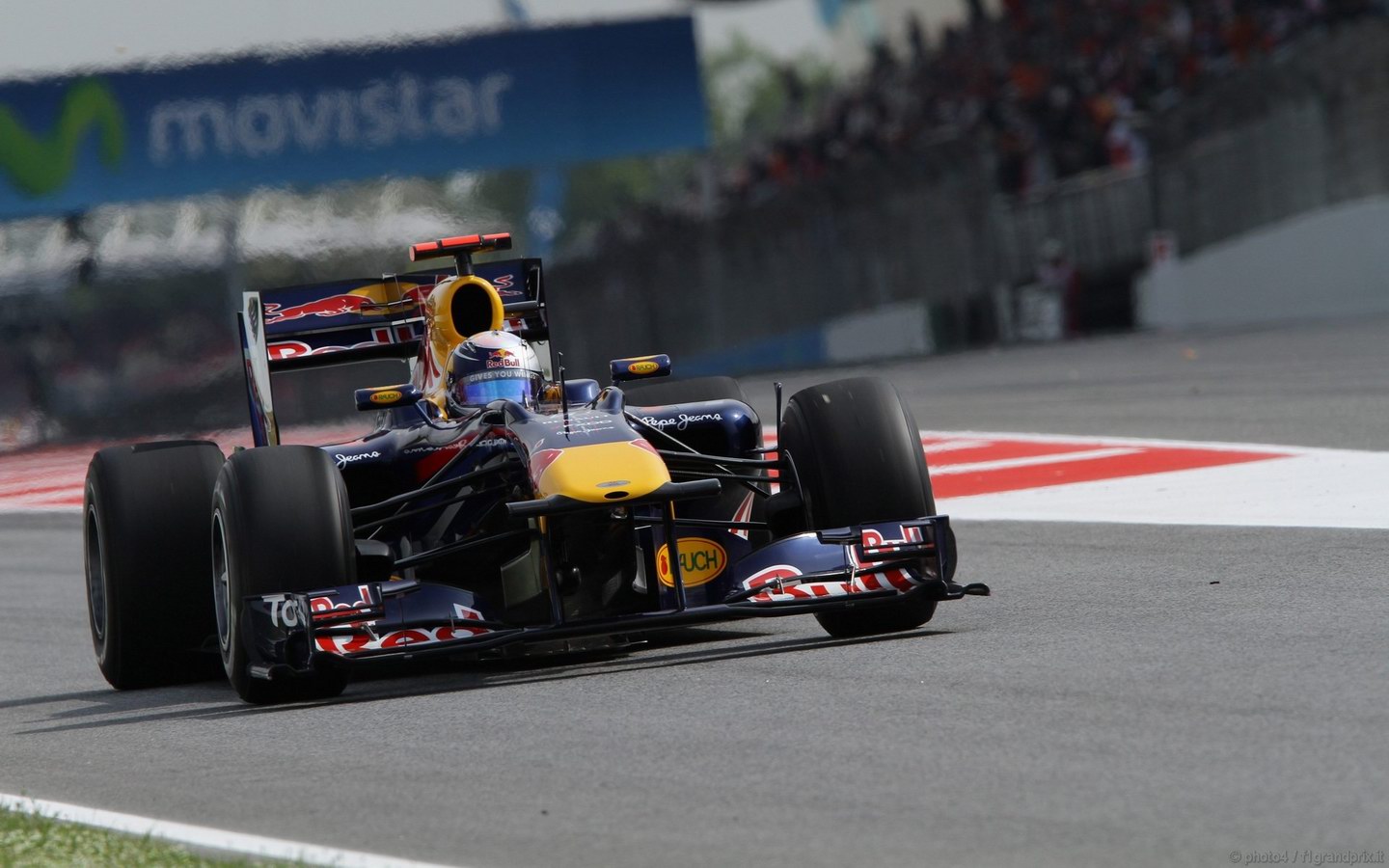 SEBASTIAN VETTEL WORLD CHAMPION 2010 1440x900