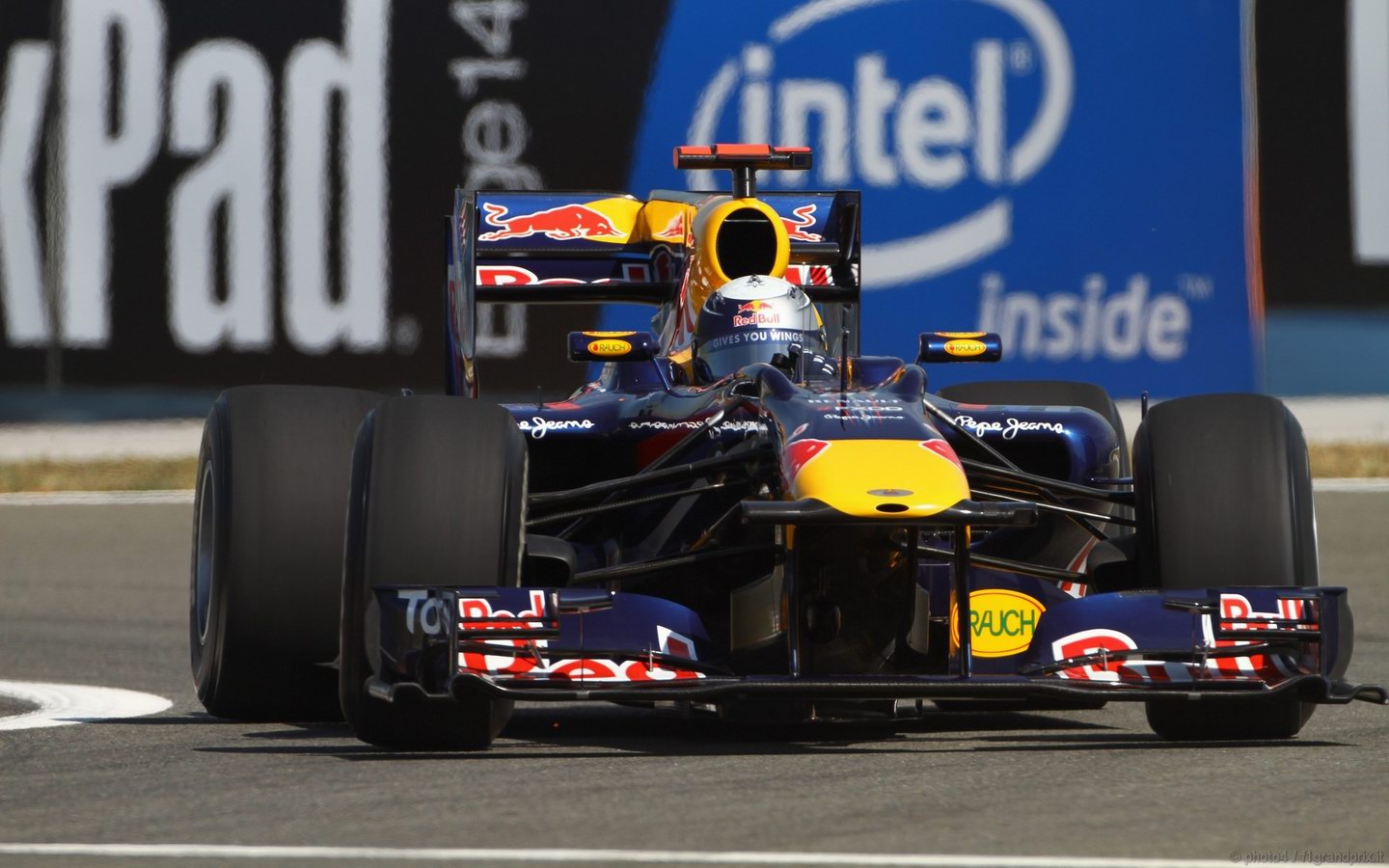 SEBASTIAN VETTEL WORLD CHAMPION 2010 1440x900
