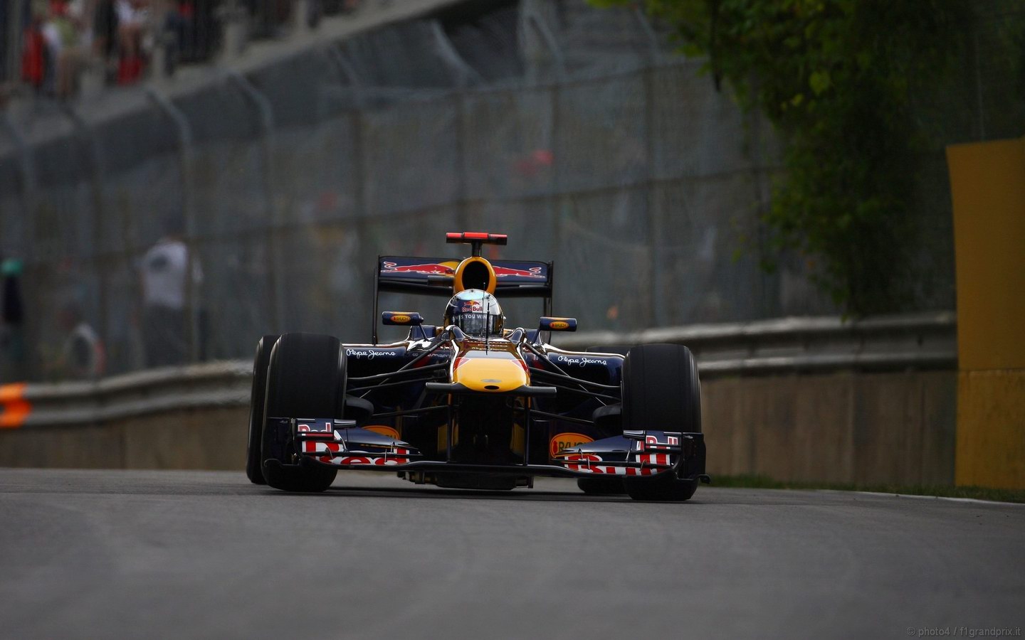 SEBASTIAN VETTEL WORLD CHAMPION 2010 1440x900