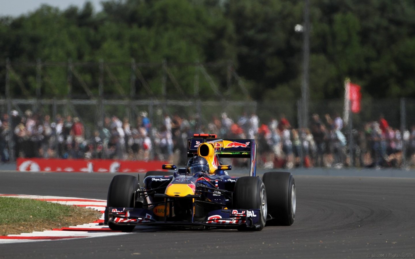 SEBASTIAN VETTEL WORLD CHAMPION 2010 1440x900