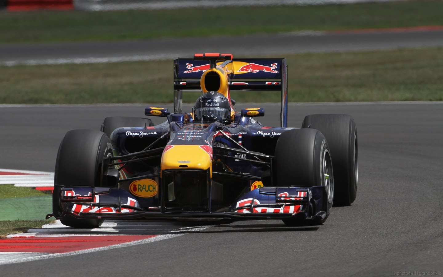 SEBASTIAN VETTEL WORLD CHAMPION 2010 1440x900