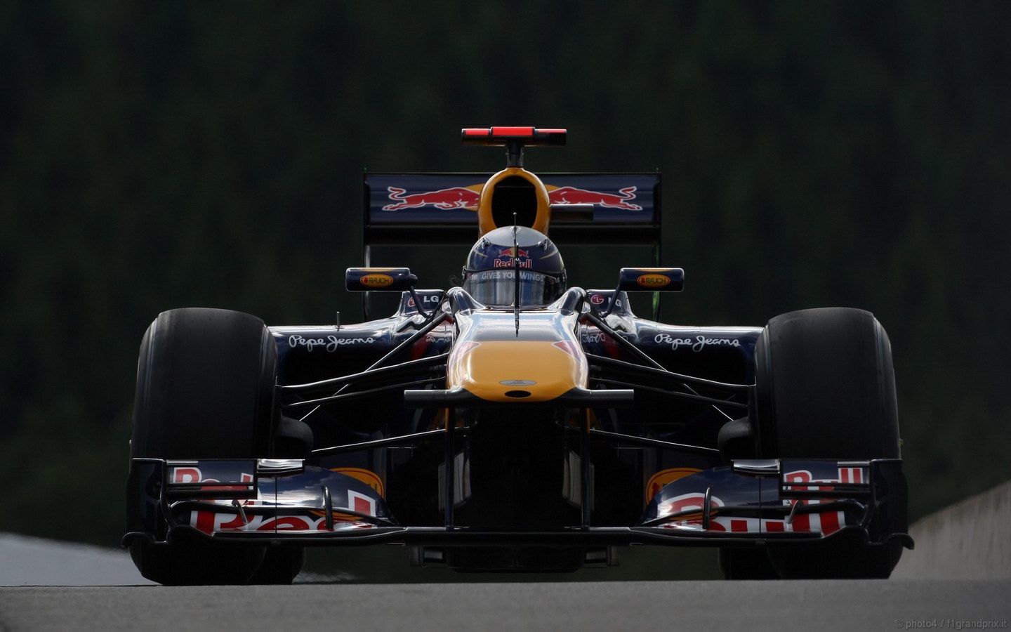 SEBASTIAN VETTEL WORLD CHAMPION 2010 1440x900