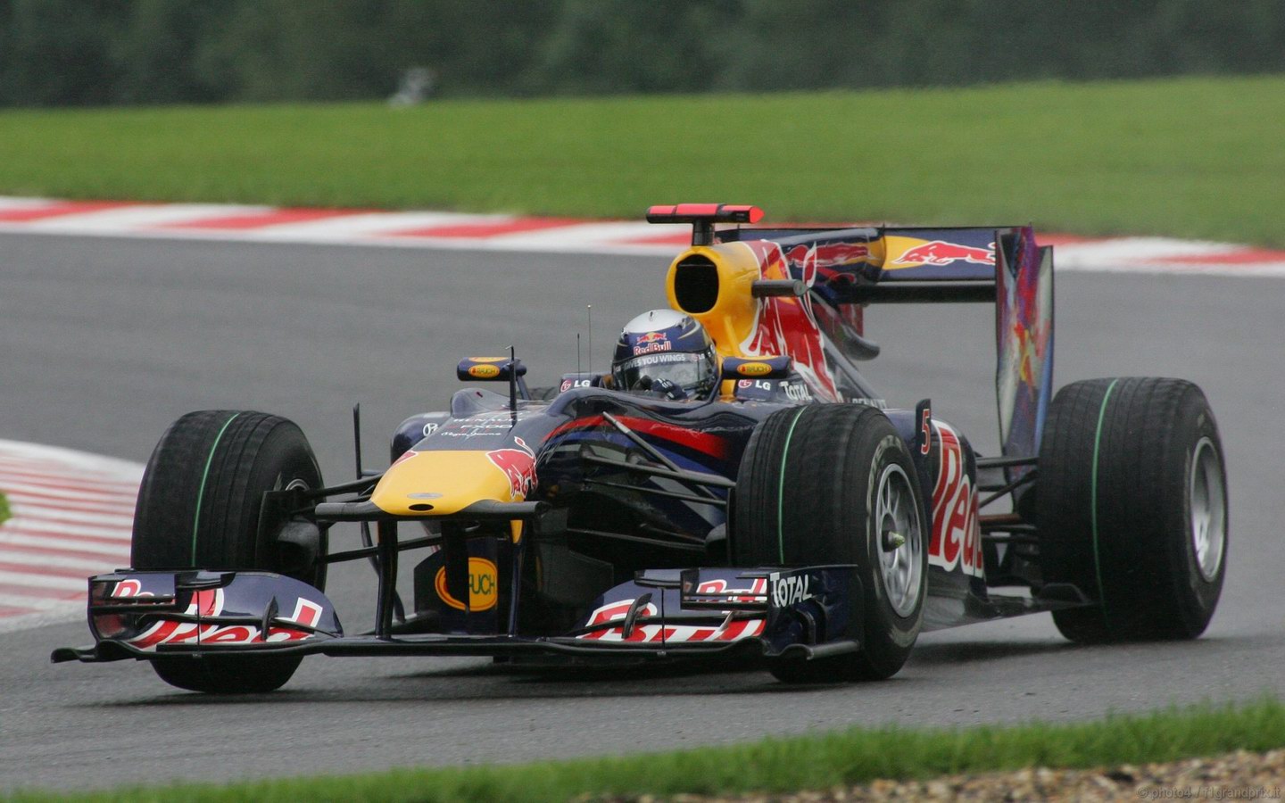 SEBASTIAN VETTEL WORLD CHAMPION 2010 1440x900