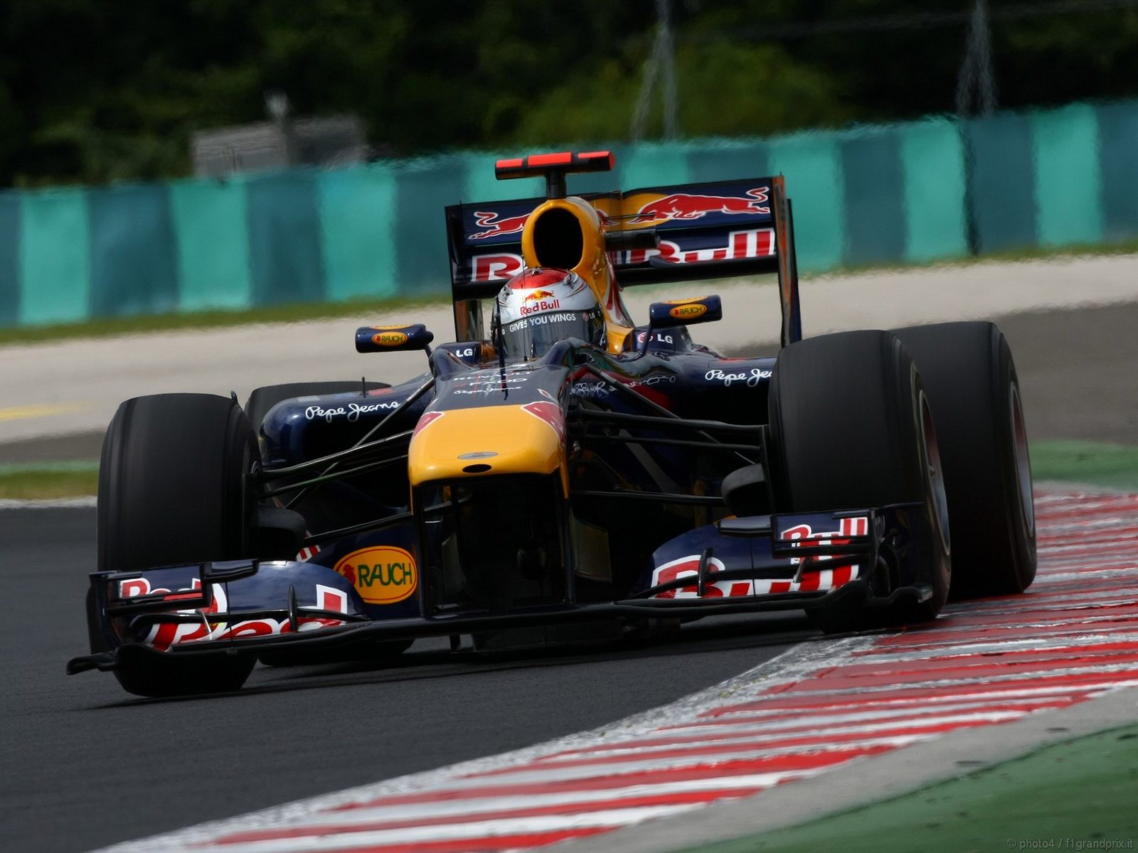 SEBASTIAN VETTEL WORLD CHAMPION 2010 1600x1200