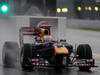 SEBASTIAN VETTEL WORLD CHAMPION 2010 1600x1200