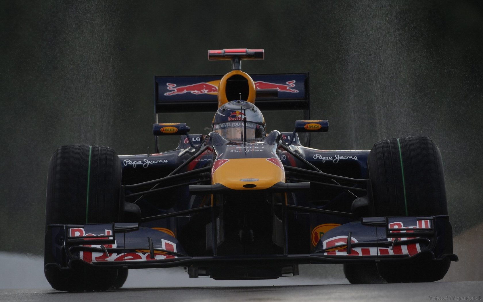 SEBASTIAN VETTEL WORLD CHAMPION 2010 1680x1050