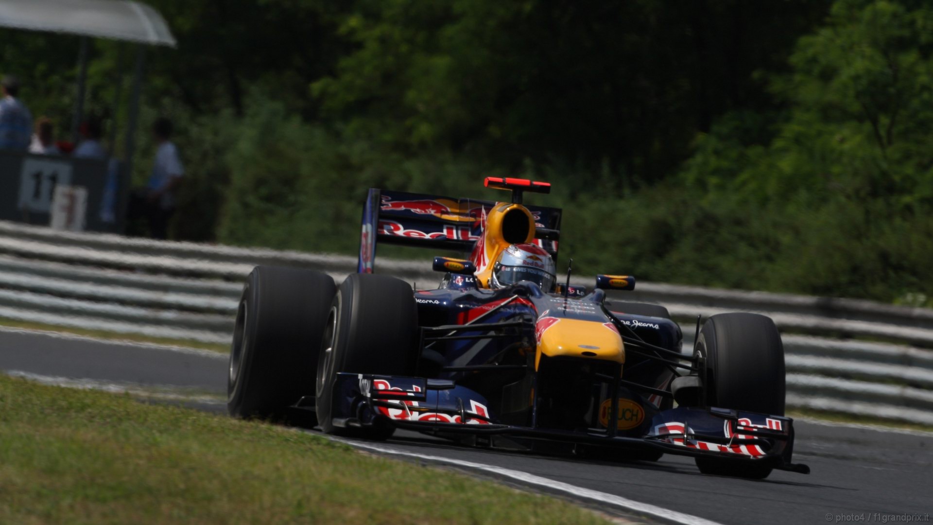 SEBASTIAN VETTEL WORLD CHAMPION 2010 1920x1080