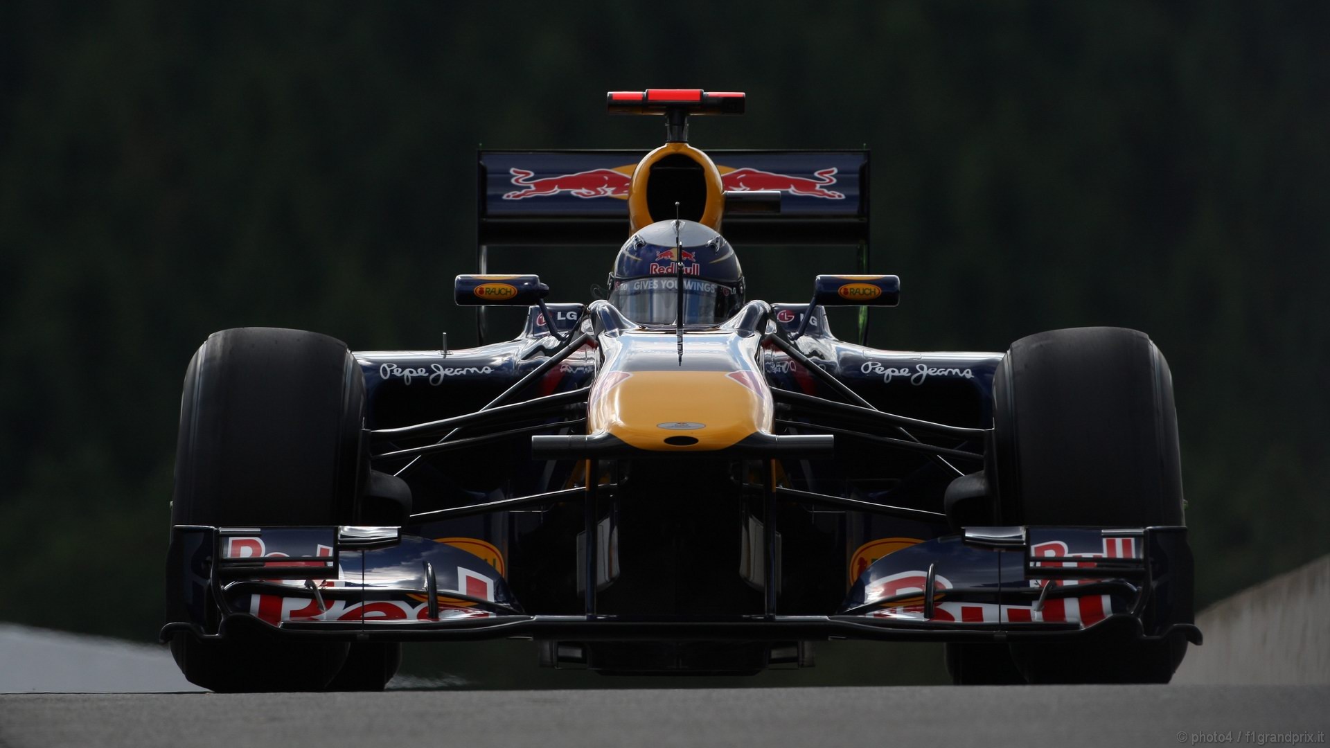 SEBASTIAN VETTEL WORLD CHAMPION 2010 1920x1080