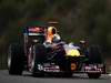 Wallpaper SEBASTIAN VETTEL WORLD CHAMPION 2010 2010 1920x1080, Sfondi Desktop F1