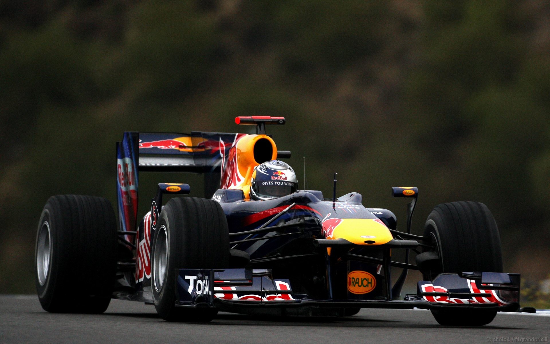 SEBASTIAN VETTEL WORLD CHAMPION 2010 1920x1200