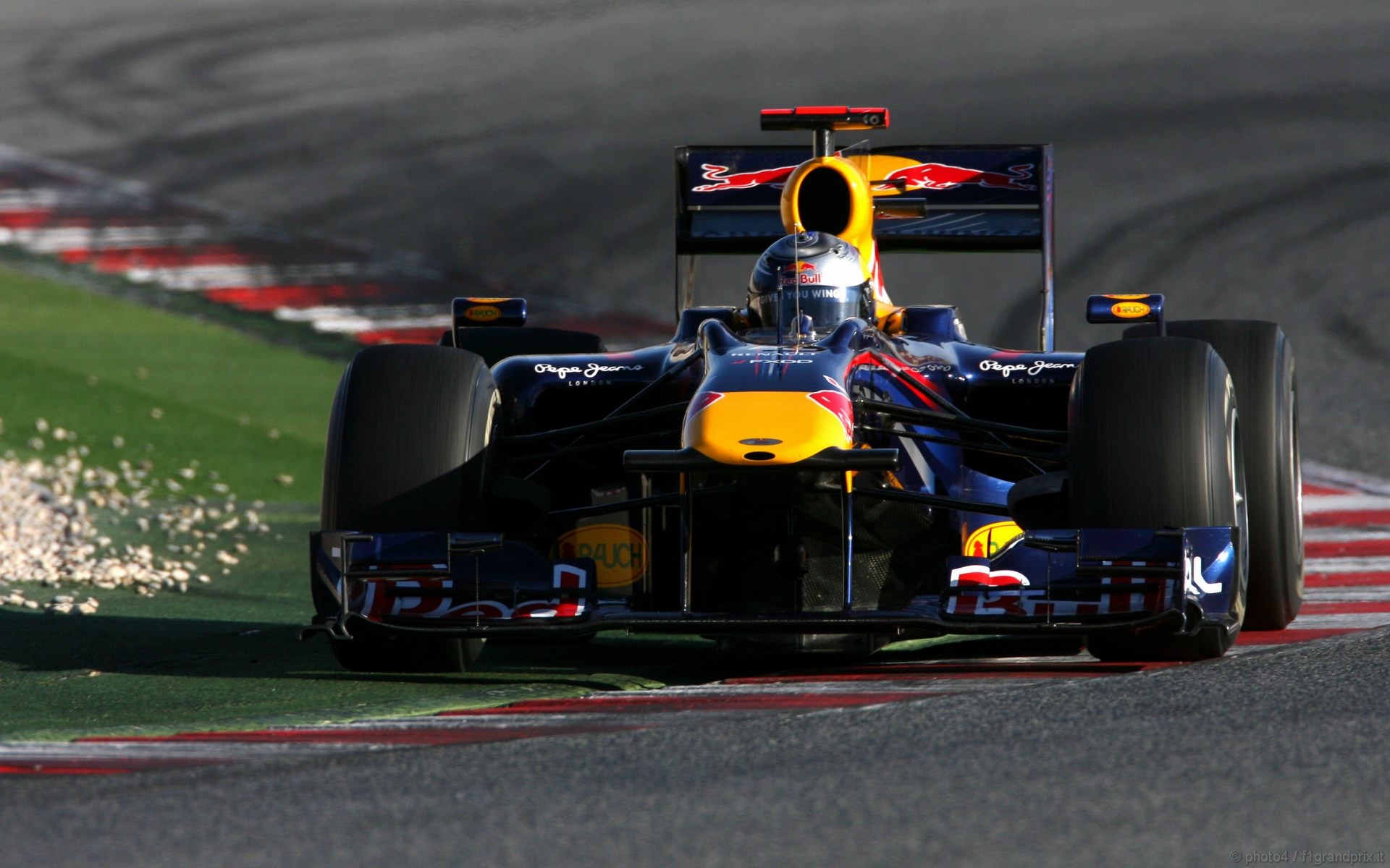 SEBASTIAN VETTEL WORLD CHAMPION 2010 1920x1200