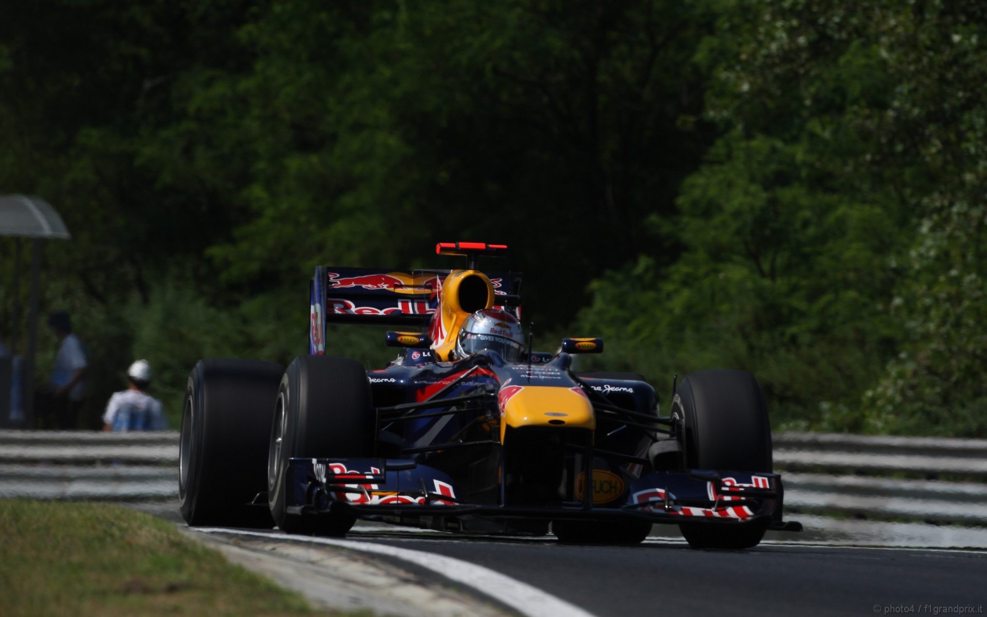 SEBASTIAN VETTEL WORLD CHAMPION 2010 1920x1200