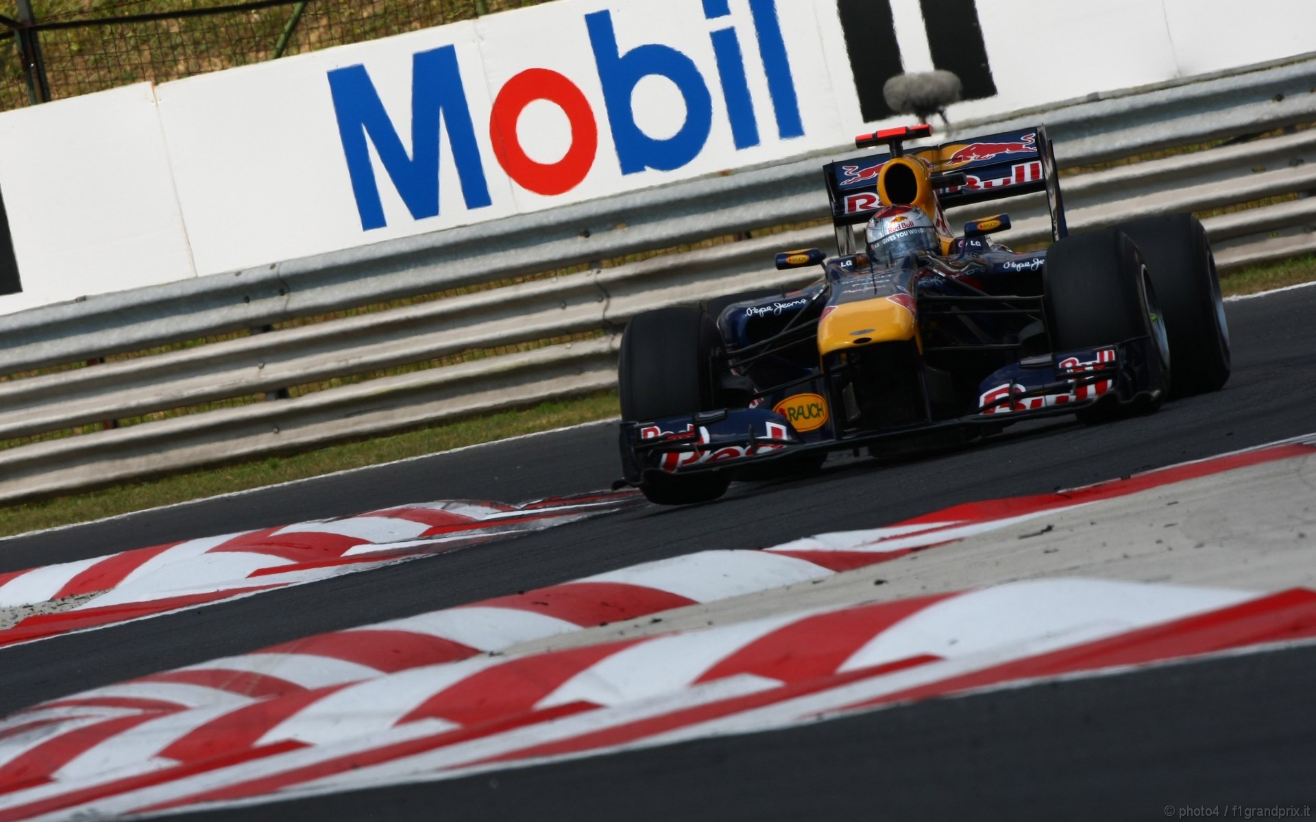 SEBASTIAN VETTEL WORLD CHAMPION 2010 1920x1200