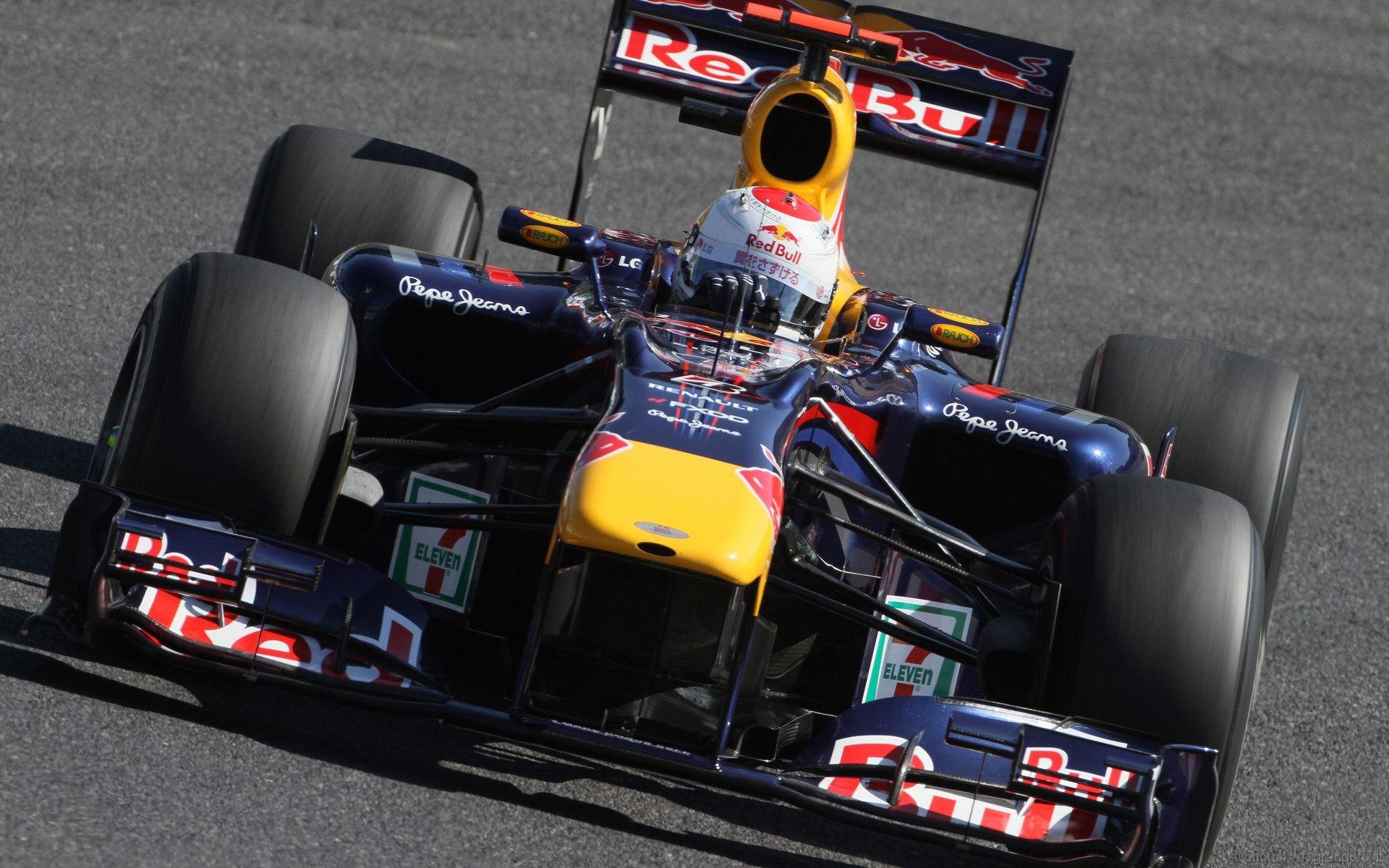 SEBASTIAN VETTEL WORLD CHAMPION 2010 1920x1200