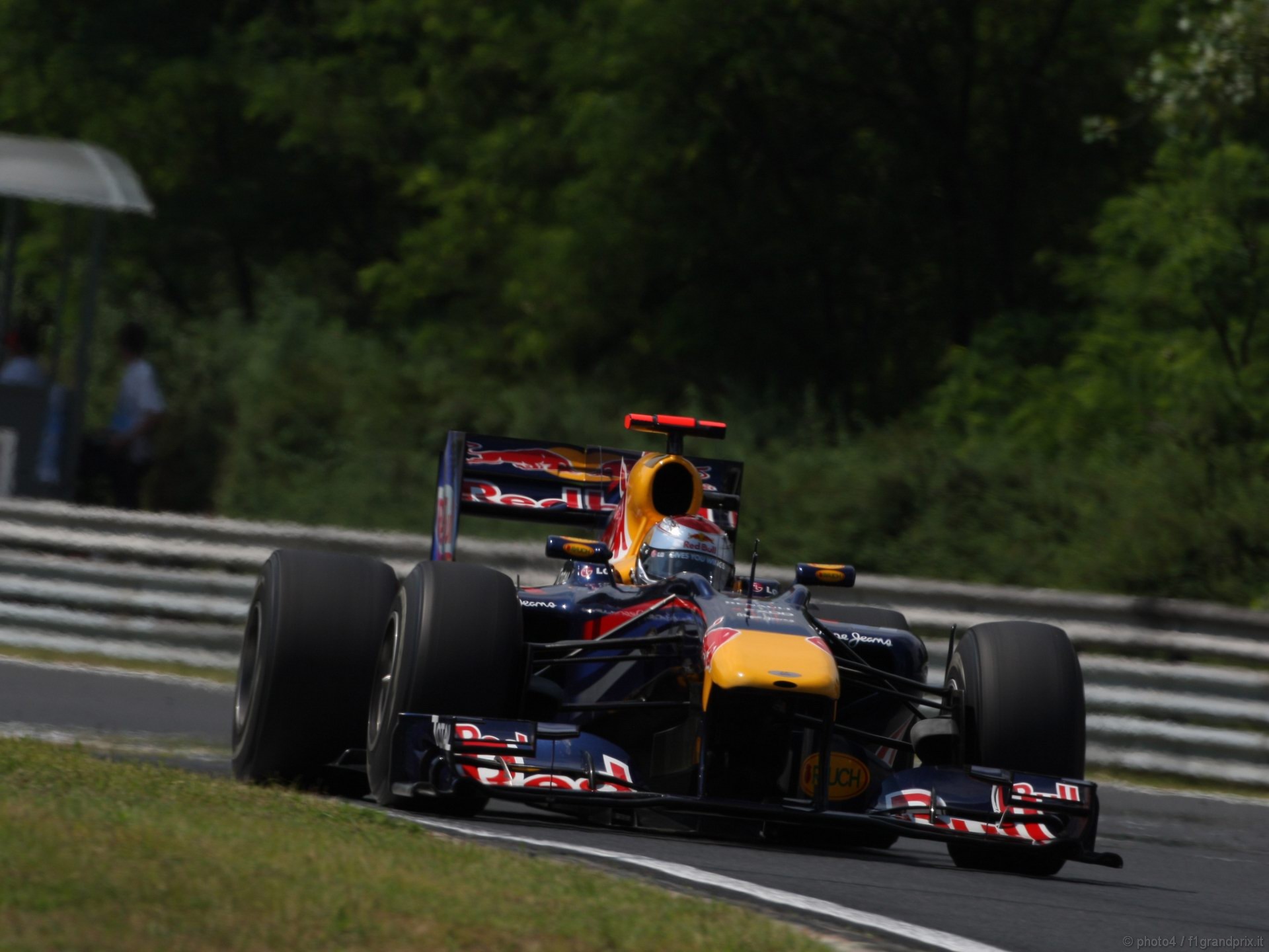 SEBASTIAN VETTEL WORLD CHAMPION 2010 1920x1440