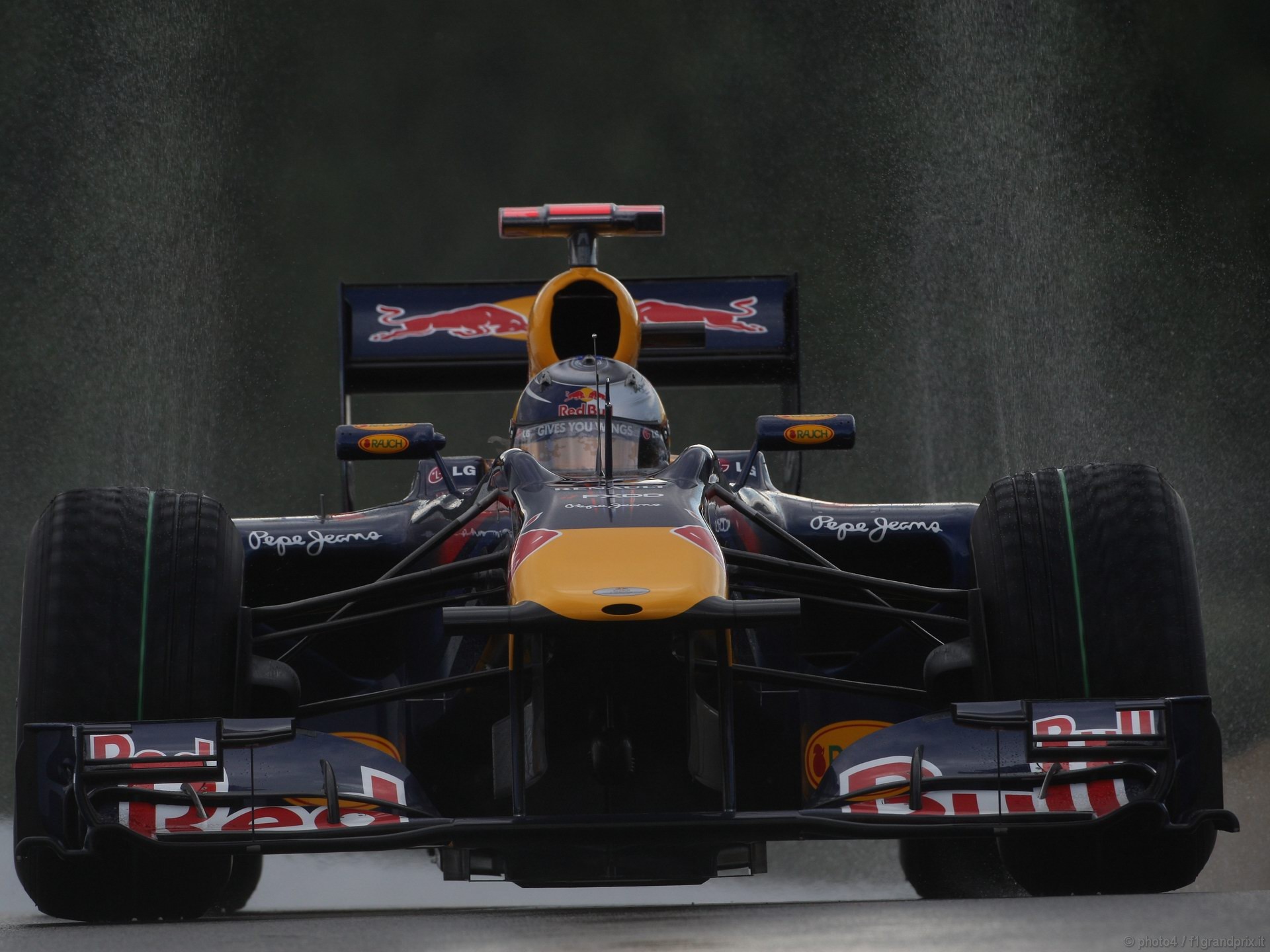 SEBASTIAN VETTEL WORLD CHAMPION 2010 1920x1440