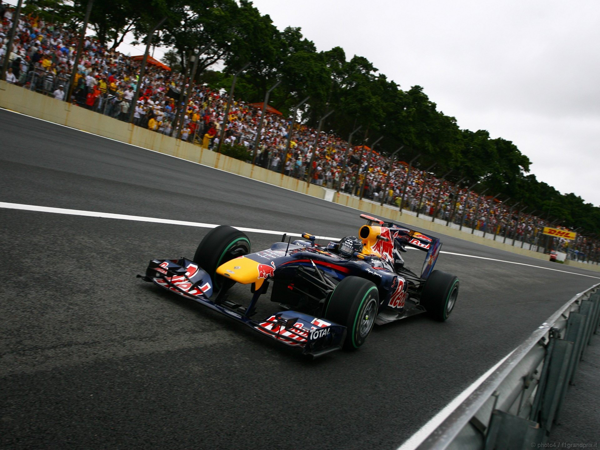 SEBASTIAN VETTEL WORLD CHAMPION 2010 1920x1440