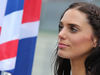 Wallpaper GP AUSTRIA 2014 1920x1080, Sfondi Desktop F1
