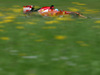 GP AUSTRIA 1920x1200