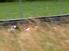 Wallpaper GP AUSTRIA 2014 1920x1200, Sfondi Desktop F1