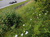 Wallpaper GP AUSTRIA 2014 1920x1200, Sfondi Desktop F1
