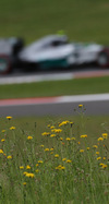 Wallpaper GP AUSTRIA 2014 iphone, Sfondi Desktop F1