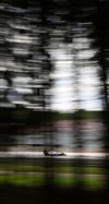 Wallpaper GP AUSTRIA 2014 iphone, Sfondi Desktop F1