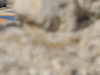 Wallpaper GP BAHRAIN 2014 1280x960, Sfondi Desktop F1