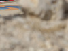 Wallpaper GP BAHRAIN 2014 1366x768, Sfondi Desktop F1