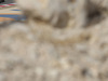 GP BAHRAIN 1366x768
