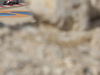 GP BAHRAIN 1680x1050