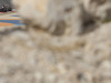GP BAHRAIN 1680x1050