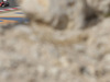 Wallpaper GP BAHRAIN 2014 1680x1050, Sfondi Desktop F1