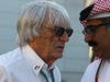 Wallpaper GP BAHRAIN 2014 1680x1050, Sfondi Desktop F1