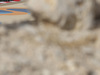 Wallpaper GP BAHRAIN 2014 1920x1080, Sfondi Desktop F1