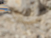 Wallpaper GP BAHRAIN 2014 1920x1080, Sfondi Desktop F1