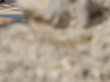 Wallpaper GP BAHRAIN 2014 1920x1080, Sfondi Desktop F1