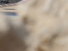 Wallpaper GP BAHRAIN 2014 1920x1080, Sfondi Desktop F1