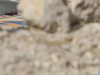 Wallpaper GP BAHRAIN 2014 1920x1440, Sfondi Desktop F1